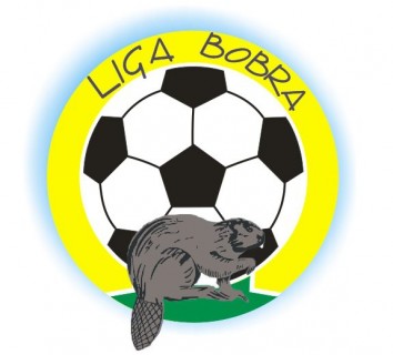Liga Bobra