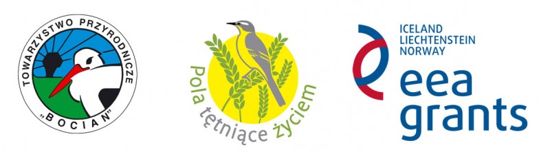 logo_bocian